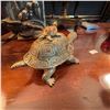 Image 10 : Jeweled Turtle Trinket Box With Baby Turtle Letter Opener