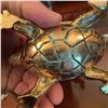 Image 5 : Jeweled Turtle Trinket Box With Baby Turtle Letter Opener