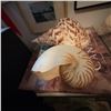 Image 2 : Large Decorative Seashells: Nautilus and Charonia