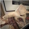 Image 5 : Folk Art Whale Vertebra Carving with Human Face