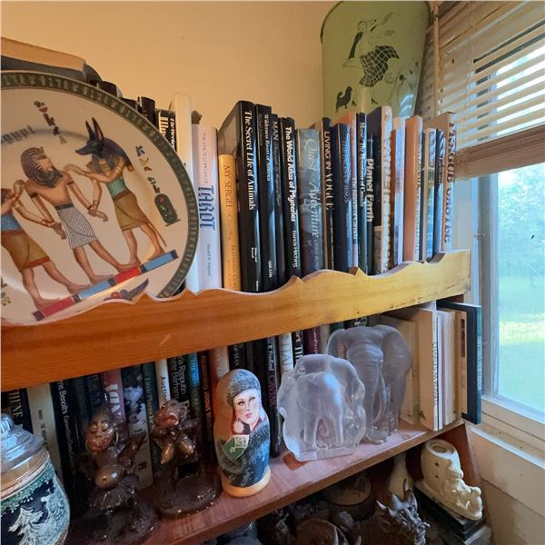 Eclectic Bookshelf Collection: Books, Decor, Cassette Tapes, Trinkets