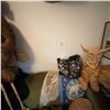 Image 6 : Plush Stick Hobby Horses