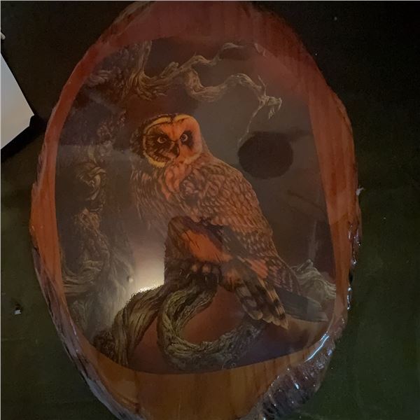 Owl Nature Scene Wall Art on Live Edge Wood Plaque