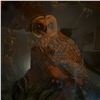 Image 2 : Owl Nature Scene Wall Art on Live Edge Wood Plaque