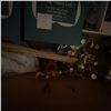 Image 7 : Lot: Patrician Candles, Porcelain Sake Set, Utensils, Linens