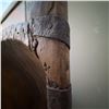 Image 5 : Wooden Trough With Iron Supports and Meat Hook
