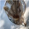 Image 3 : Indigenous-Style Dreamcatcher With Feathers and Beads, 20" Diameter