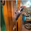 Image 1 : Hand-Carved Painted Woodpecker Wall Mount Folk Art