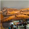 Image 2 : Hand-Carved Wooden Fish Relief on Bark Slab