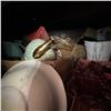 Image 6 : Vintage and Decorative Tableware