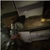 Image 2 : Antique Reading Iron Works Wood-Burning Kitchen Stove