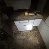 Image 3 : Antique Reading Iron Works Wood-Burning Kitchen Stove
