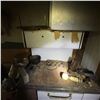 Image 5 : Antique Reading Iron Works Wood-Burning Kitchen Stove