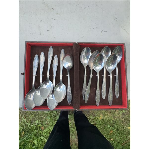 Hutschenreuther 12-Piece Silverplate Spoon Set with Box