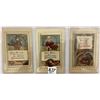 Image 2 : Winsch Thanksgiving Holiday Greeting Postcards 29