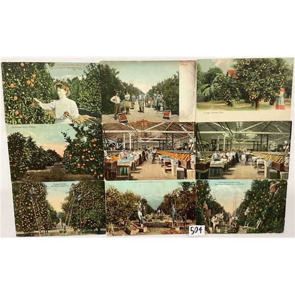 Citrus & Related Postcards Approx. 150