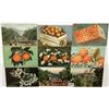 Image 2 : Citrus & Related Postcards Approx. 150