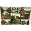 Image 3 : Citrus & Related Postcards Approx. 150