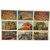 Image 4 : Citrus & Related Postcards Approx. 150