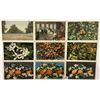 Image 5 : Citrus & Related Postcards Approx. 150