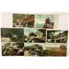 Image 2 : Mt. Lowe, California Trolley Postcards Approx. 45