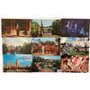 Image 5 : Disneyland Postcards Approx. 60