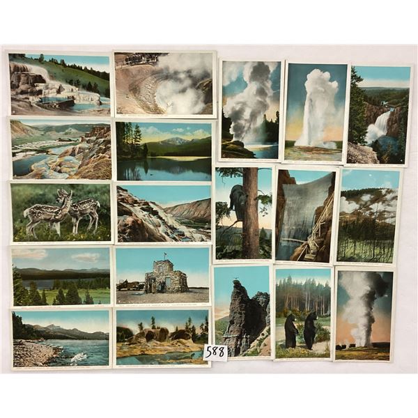 Yellowstone National Park Haynes in the Box 50 Postcards