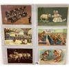 Image 3 : Misc. Greetings with Animals Album 40 Postcards