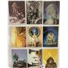 Image 3 : Album of Approx. 120 Collector Cards