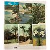 Image 6 : Bermuda Postcard Album Approx. 150
