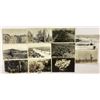 Image 1 : Real Photo Cactus Postcards 25