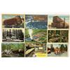 Image 2 : Logging - Lumber Postcards Approx. 60