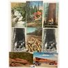 Image 4 : Logging - Lumber Postcards Approx. 60