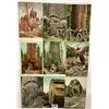 Image 5 : Logging - Lumber Postcards 45+