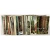 Image 7 : Logging - Lumber Postcards 45+