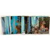 Image 3 : Amusement Park Postcards 34