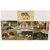 Image 1 : Animals - Dogs 45+