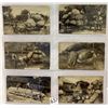 Image 3 : Exaggeration Postcards 24