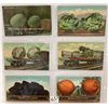 Image 4 : Exaggeration Postcards 24
