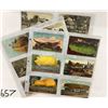 Image 5 : Exaggeration Postcards 24
