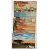 Image 1 : Sorted USA 700+ Postcards