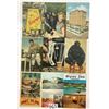 Image 2 : Sorted USA 700+ Postcards