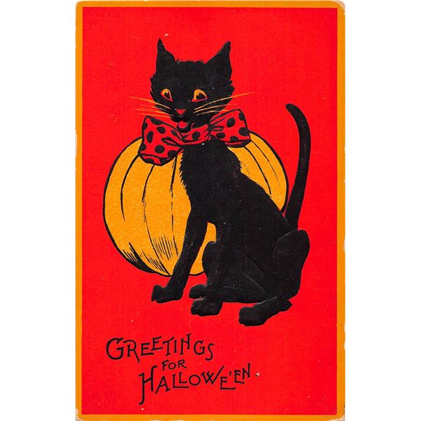 Orange Background Black Cat & Pumpkin Greetings for Halloween PC