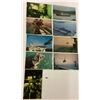 Image 3 : Political & Social History Postcards Approx. 900