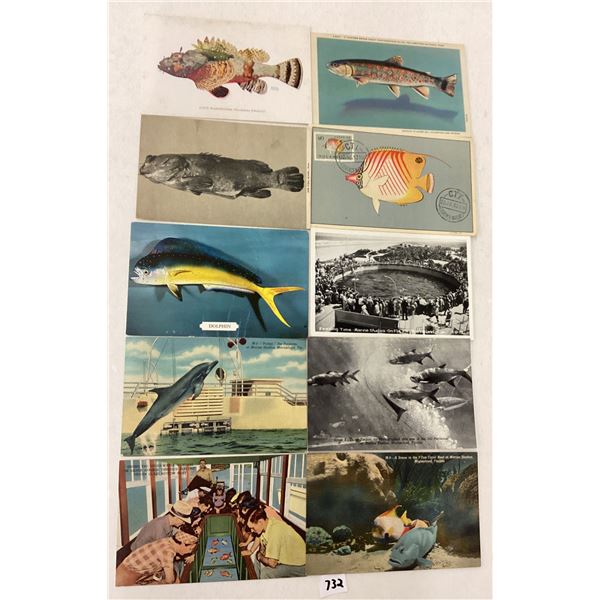 Sea Life Postcards Approx. 95