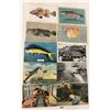 Image 1 : Sea Life Postcards Approx. 95