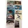 Image 3 : Sea Life Postcards Approx. 95