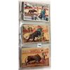 Image 15 : Bullfighting Postcards Approx. 60