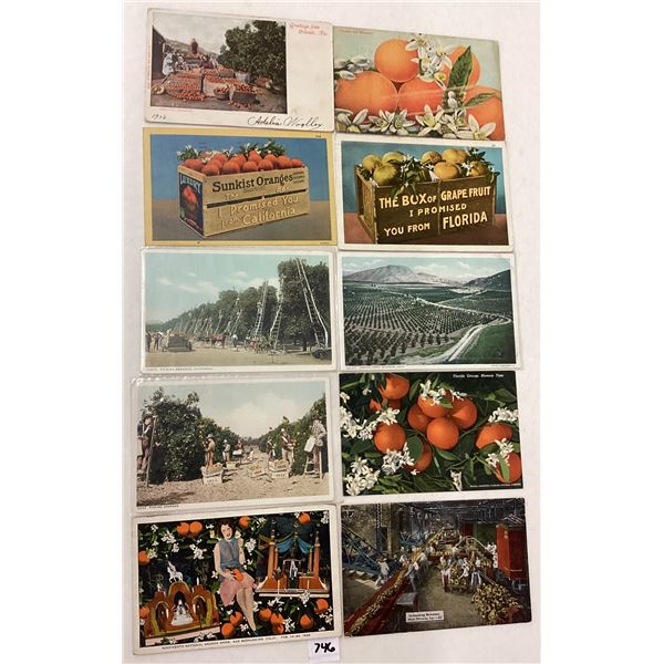 Citrus & Related Postcards Approx. 110