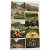 Image 2 : Citrus & Related Postcards Approx. 110